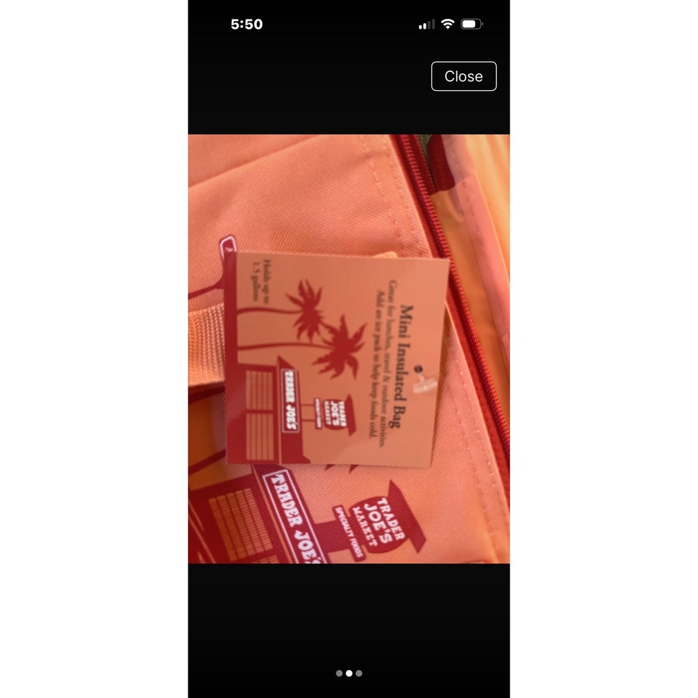 PAIR of NWT Trader Joe's Insulated Cooler Mini Tote Bag Set of Coral & Blue - Picture 2 of 3